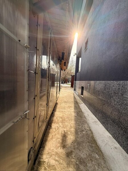 Militari  -Lacul Morii